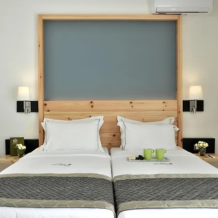 Acrotel Elea Hotel Sithonia