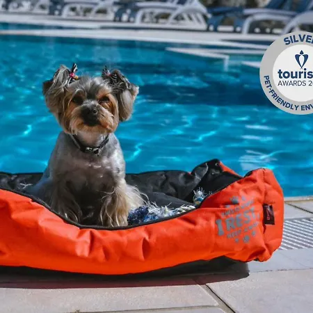 Acrotel Elea فندق Sithonia