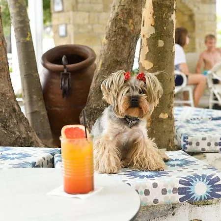 فندق Acrotel Elea